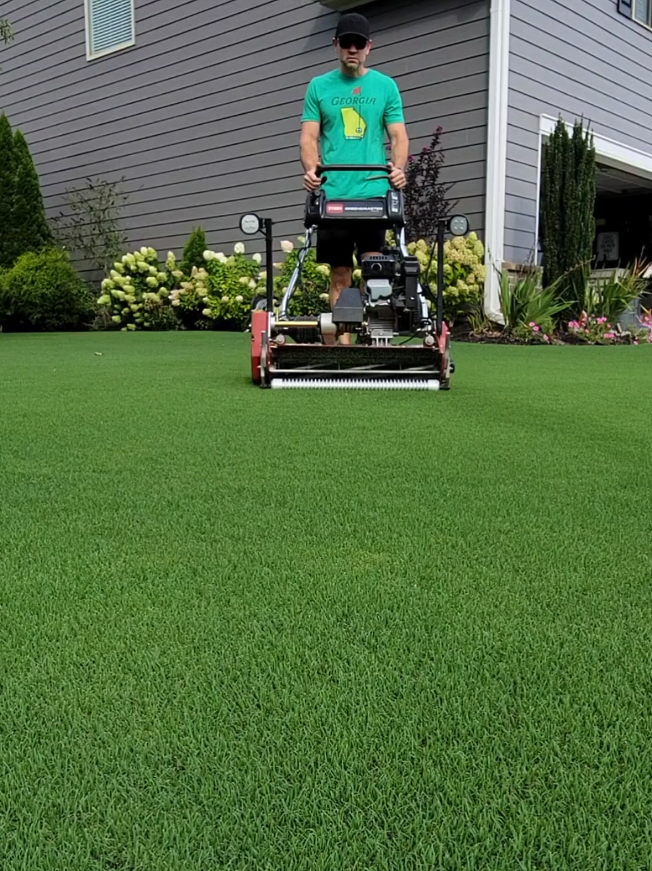 HOA says i must have the same grass as everyone else 🤔 #lawntok #lawn @Atlantic Alkylate Fuel 