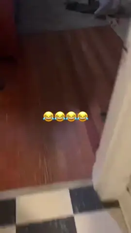 Funny talking animals 🗣️ #animals #funny #voiceover #talking #PetsOfTikTok 