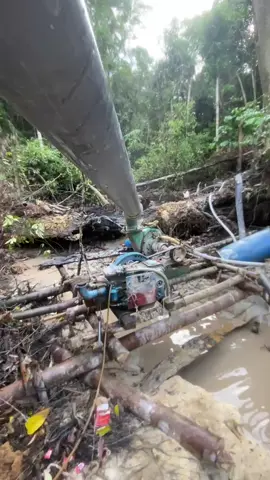 #tambangkalimantan
