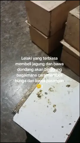 susah dah #merpatilampung #RKS #merpatikolongbebas #hobimerpati🕊️🕊️ #4upage #fypppppppppppppp #fypシviral 