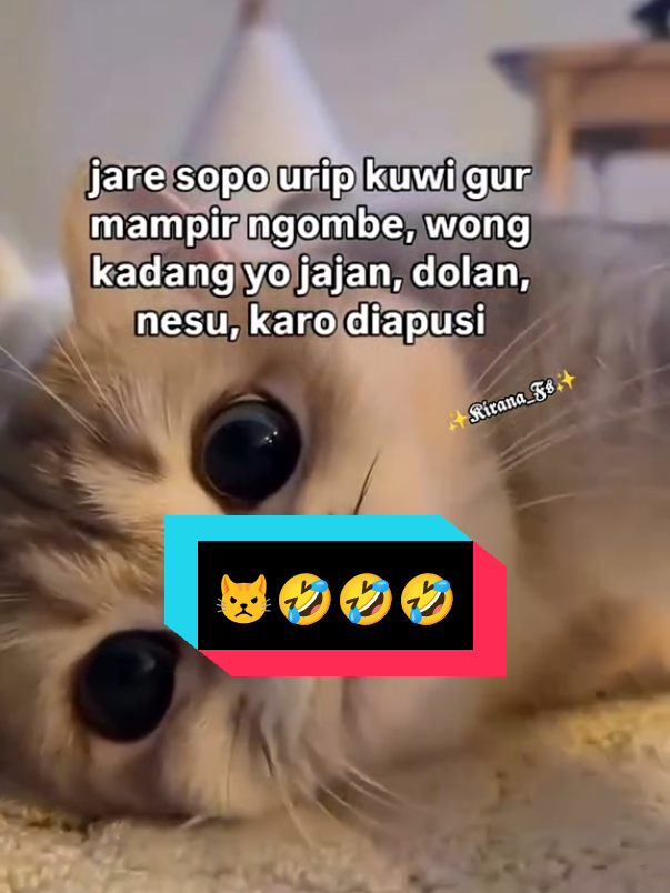 #😾😾🤣🤣🤣 