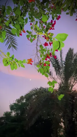 اکیلے بھی وہی لوگ رہ جاتے ہیں، جو ہر رشتا دل سے نباتے ہیں۔🙂✨👀💫#views #meh_alee #fypシ゚ #support_me #unfreezemyacount 