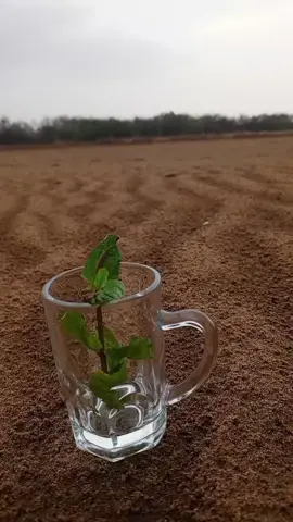 جيزان اليوم امطار