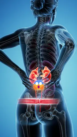 I want to share a simple natural drink that helps cleanse your kidneys, flush out toxins, and support the healing process #healthtips #kidneydisease #kidneys #drink #natural 