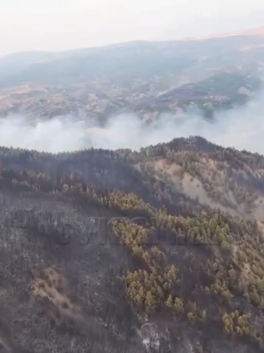 Drejt përmirësimit situata nga zjarret Mëngjesi i kësaj të enjteje ka shënuar një përmirësim të situatës nga zjarret. Gjatë 24 orëve të fundit u raportuan 57 vatra nga të cilat 29 janë ende aktive. Megjithatë, flakë ende aktive ka në disa zona ku më problematike situata është në qarqet e Beratit dhe Elbasanit. Në Poliçan flakët u larguan nga fshatrat Plashnik, Velçan dhe Orizaj, por janë ende aktive në brendësi të pyjeve ku, për shkak të terrenit të thyer, është e pamundur ndërhyrja nga toka. LEXO MË SHUMË NË TVKLAN.AL #TvKlan #News #Zjarret #Delvine #Gramsh