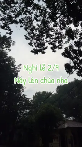Lễ đi đâu #tuyenluong #songlanh #namotasa_🙏 #binhyen #thien 