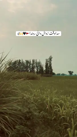 #MerA_sonA_pind_pind_Sabazpeer🌾🌾🌹 #alihassan__39 #foryou 
