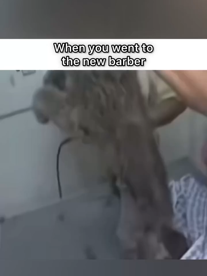 You can see hes plotting his revenge.
