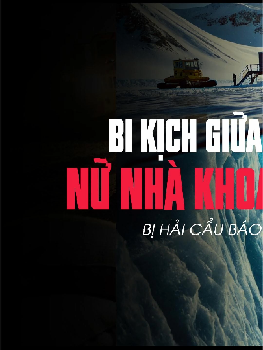 BI KỊCH GIỮA NAM CỰC: NỮ NHÀ KHOA HỌC BIỂN BỊ HẢI CẨU BÁO TẤN CÔNG (PHẦN 3) #kyan #kyanthegioi #phaan #learnontiktok