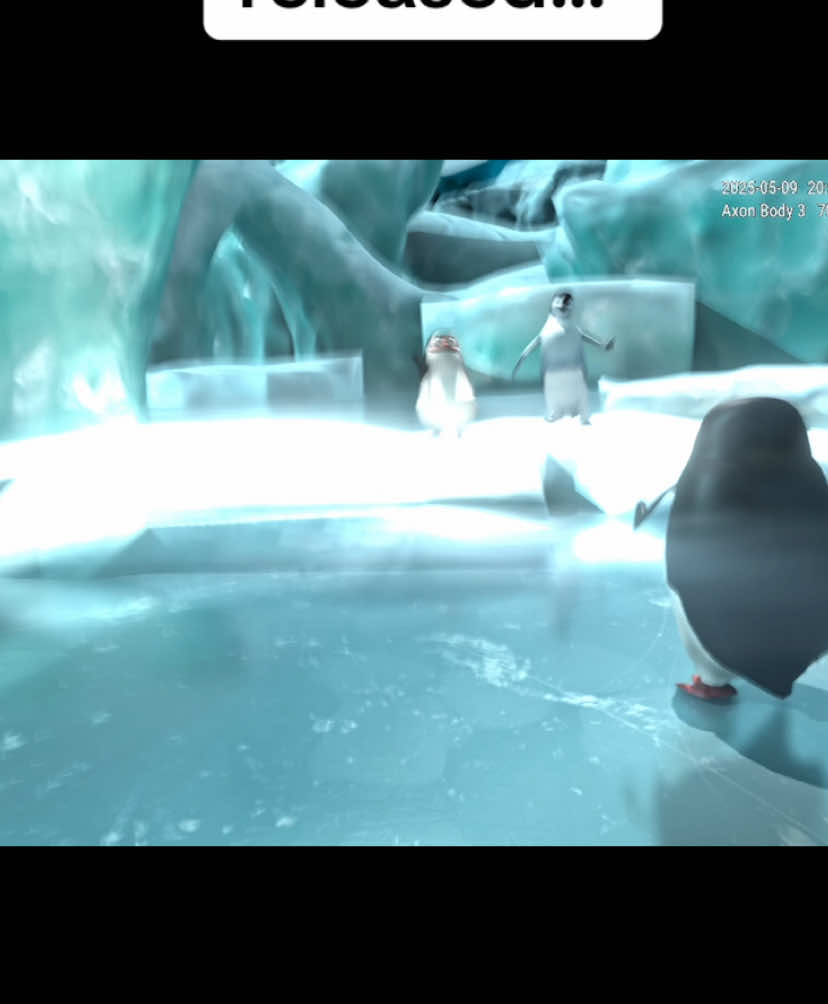 Skipper Kowalski and Rico really tried saving him 🥺 #madagascar#penguin##penguinsofmadagascar #private #latenightgamenight 