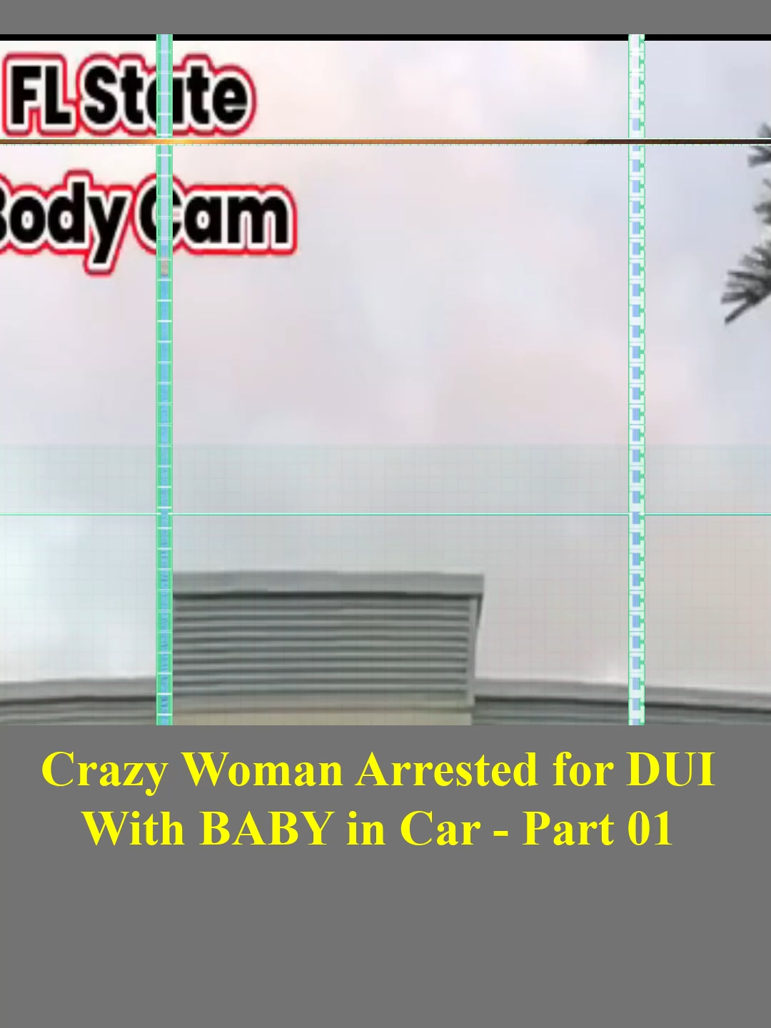 Crazy Woman Arrested for DUI With BABY in Car - Part 01 #foryou