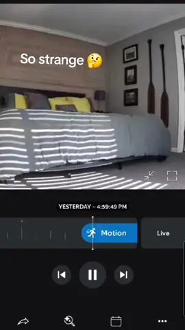What made my Ring camera go off??? Ghost? No one lives there it is a vacation cabin?