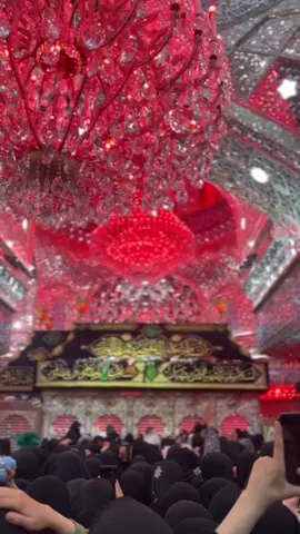 🥹❤️ #كربلاء_مدينة_العشق_والعاشقين 