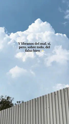 Amén ✨🙏🏻 #frasesyreflexiones #libranosdelmal #nubes #tiktokviral #funny 
