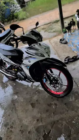 #jupiterz1 