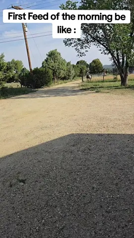 all that grass and you still want the mush🤣