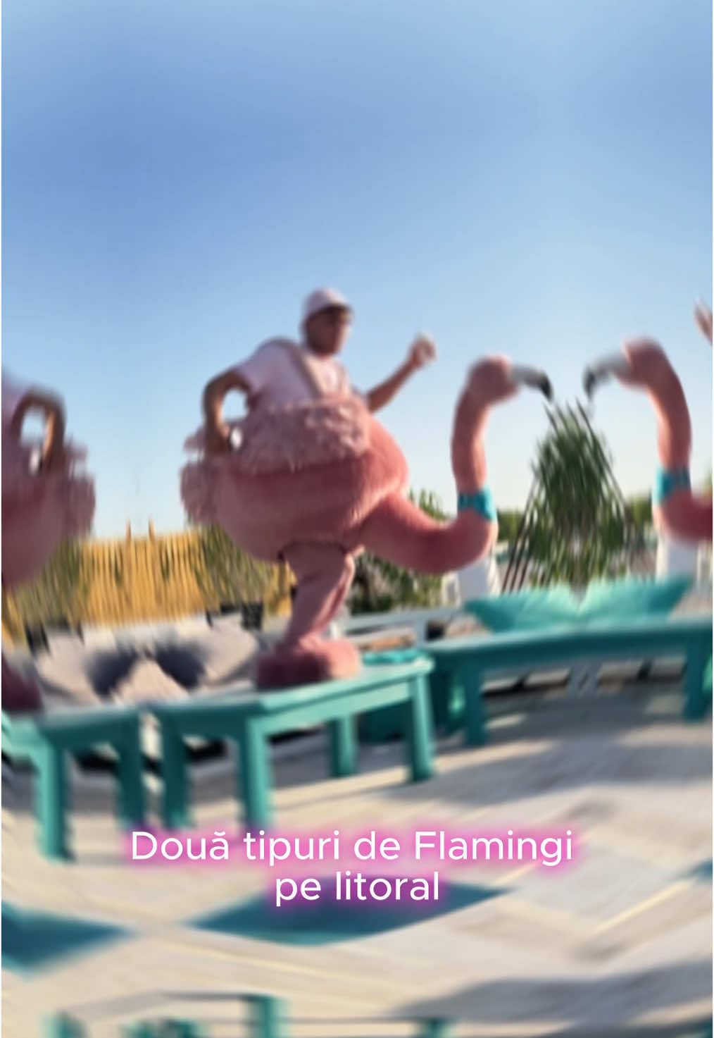 În cinstea Flamingo-ului responsabil care are grijă de vacanță din grupul tău 🍷 #365deziledevara #LaVidaEnRose #flamingolamare #litoralulromanesc #romania #roseverite #beciuldomnesc #funny #fyp 