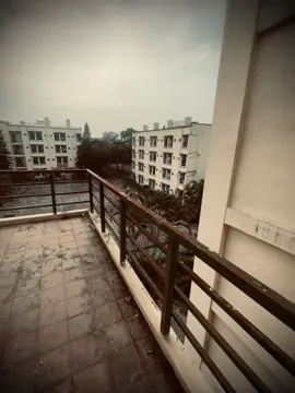 金钱是纸，烧了就会烧，爱情是尘埃，摇一摇就会飞走！ tiền là giấy, đốt là cháy, tình là bụi, phủi là bay.!!