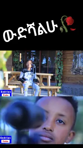 #creatorsearchinsights 