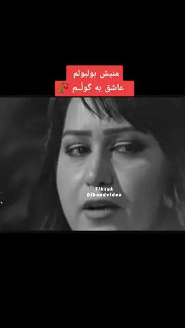 #dlbandvideo #hawler_slemani_dhok_karkuk_hallabja #slemaniyah #kurdstan🇹🇯️ #هەولێر_سلێمانی_دەهۆک_ڕانیه_کەرکوک 