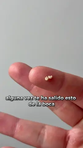 WellFresh actúa rápido y mantiene tu boca fresca por horas.