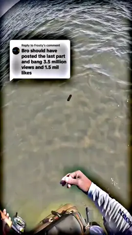Replying to @Frosty let’s see what algorithm does with it… research! #poop #flyfishdelawhere 
