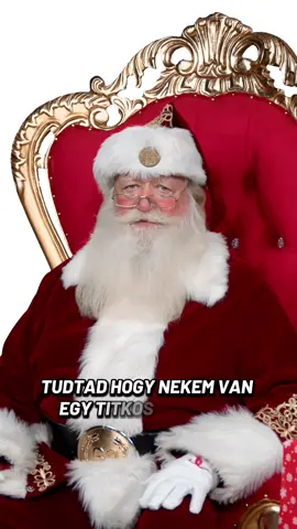 Te ismered a főmanómat? #mikulás #manók #karácsony #karácsonyikészülődés #karácsonyiajándéktippek #mikulásvideó 