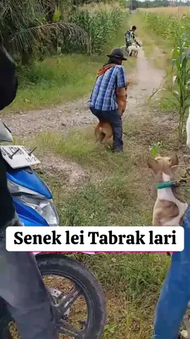 Baret Rem blong 😂 #porbipiamansaiyo #baret  @🌟GM-92Team🌟Tapakis 