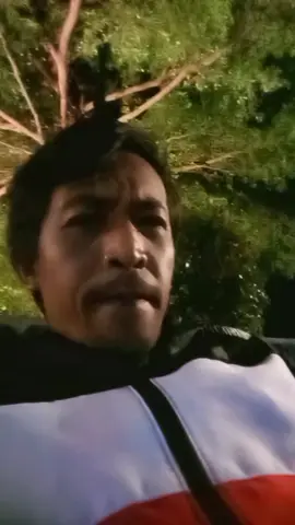meskipun ada bawah pohon.... pohon juga melindungi dan mengayomi segala apa yang bawahnya.....tapi kalo udh waktu pasti  pohon itu tumbang...... Rahayu 3x 