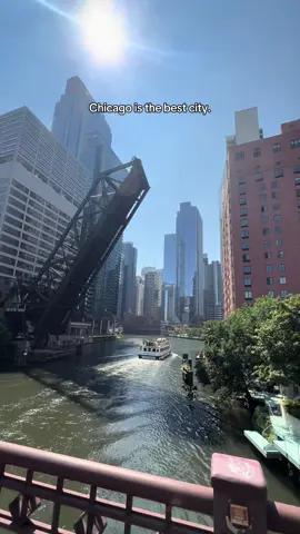 Love this place✨ #fyp #chicago 