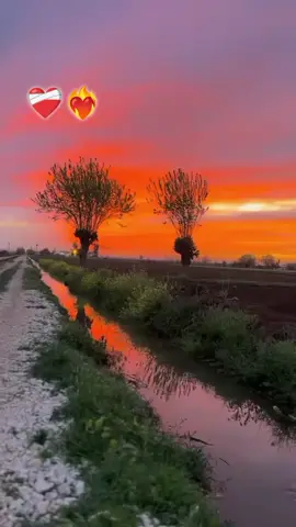 ❤️‍🩹❤️‍🔥#keşfet #arapçavideolar #fyppppppppppppppppppppppp #arapçocuğu ##arapçaşarkılar @𝐇𝐔̈𝐒𝐄𝐘𝐈̇𝐍_ ★ @☆亗 Halil Bz₭  亗☆ 