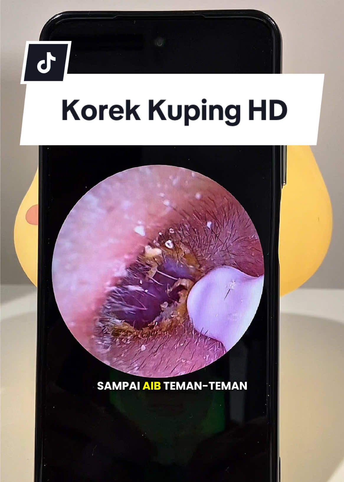 Korek Kuping dengan gambar HD cocok banget buat para jomblo dan anak rantau. #korekkuping #pembersihtelinga #pembersihtelingakamera #korekkupingkamera #korekkupingled 