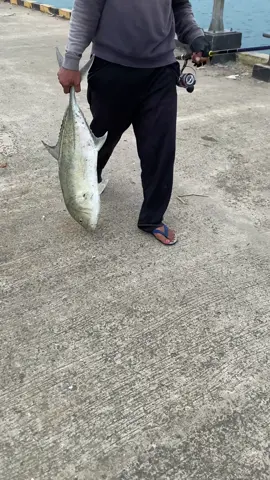 Gtnya kakak #anglerindonesia #fisherman #mancingmania 