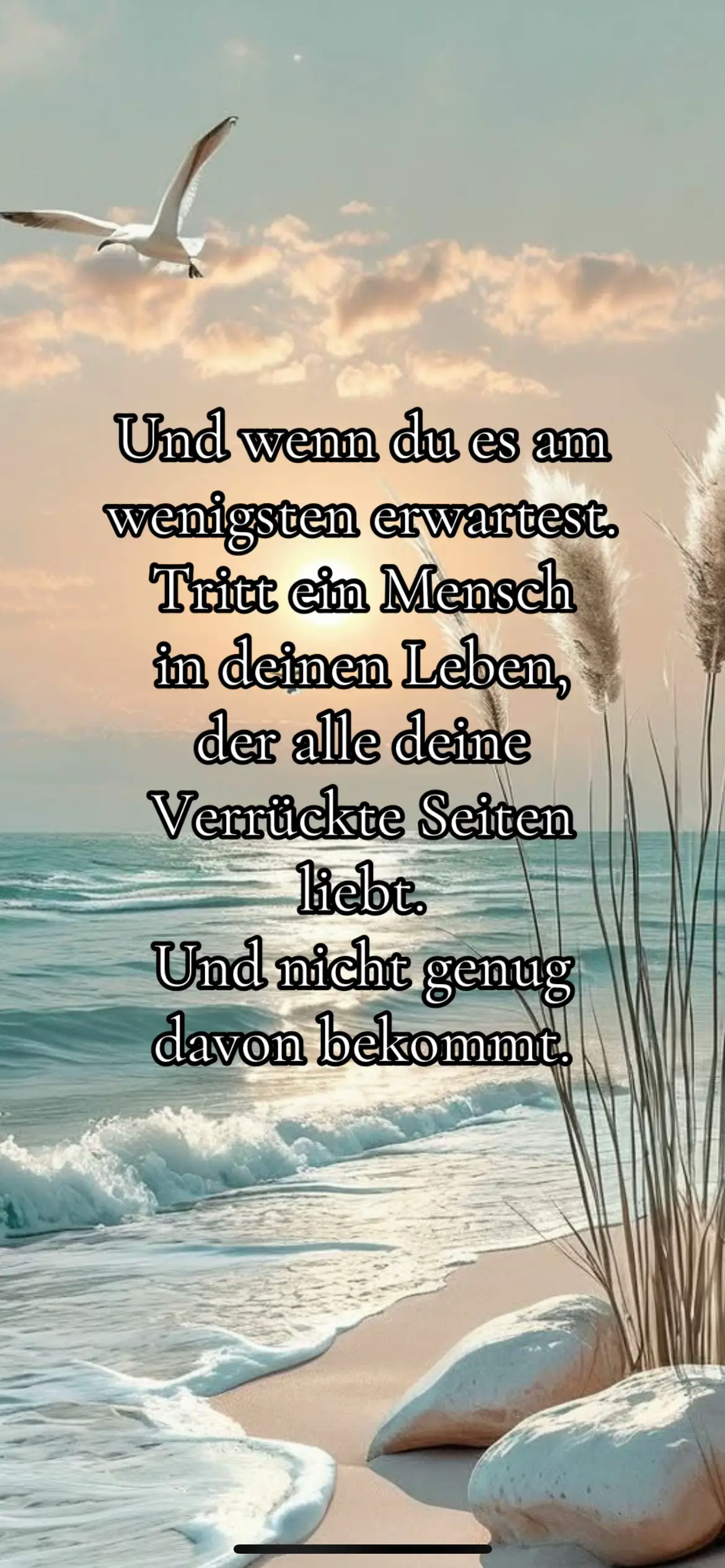 Keine offene Fragen, Ruhiger Schlaf und einfach nur Frieden.
