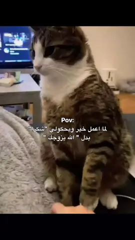 لما اعمل خير ويقولولي شكراً  بدل(الله يزوجك) 😂😂❤ #storywhatsapp #creatorsearchinsights #الشعب_الصيني_ماله_حل😂😂  #explore #xyzbca #creatorsearchinsights 