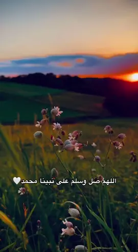 #fypシ゚ #fyp #اللهم_صلي_على_نبينا_محمد #foryou #foryoupage 