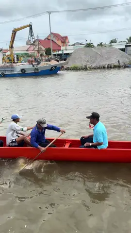 Chuẩn bị cho cuộc đua. Đọc mọc ngan dừa. 