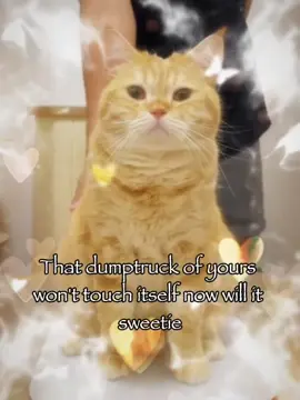 Sweetie 😉😉#rizz #catsoftiktok #joke #relatable #fyp 
