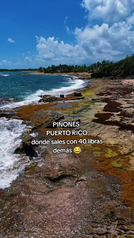 No existe dieta ninguna lol #boricua🇵🇷 #puertorico🇵🇷 #paratiiiiiiiiiiiiiiiiiiiiiiiiiiiiiii #puertorico 