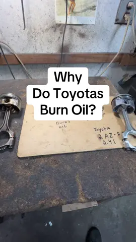 Noticed your Toyota using more oil than it should? In this quick video, I explain why some Toyota engines burn oil, what causes it, and what you can do to prevent costly damage. #motorcarnut #toyota #carsoftiktok #carslover #cars 