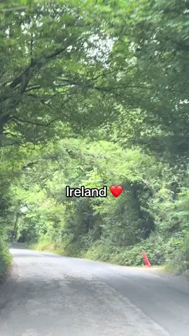 #ireland #iliveinthedesert #green #gorgeous 