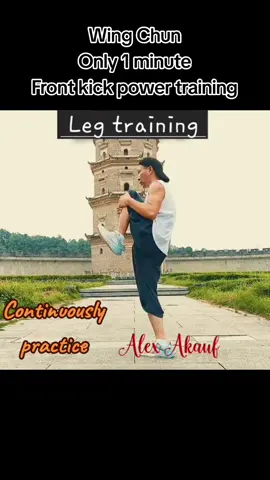 Wing  Chun Front kick power training #wingchun #vingtsun #wingtsun #wingchunfrontkick #wingchunstrenght 