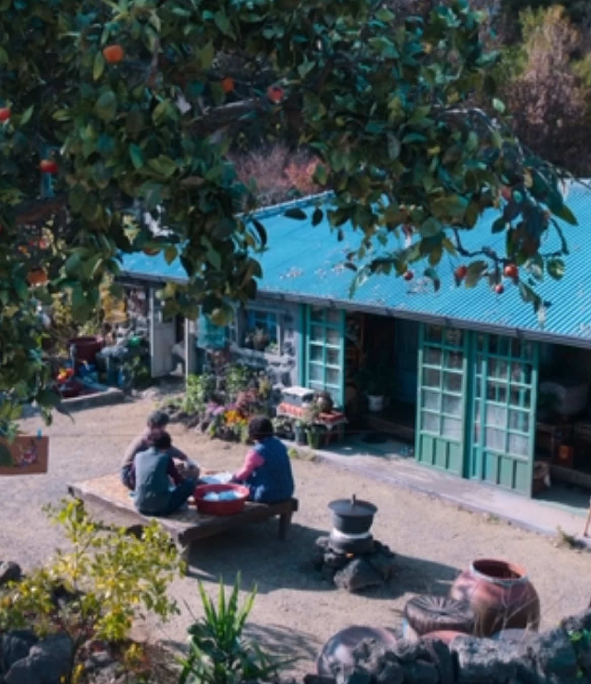 ‏꣑୧ #kdrama #whenlifegivesyoutangerines #كيدراما #kdramas #foryou 