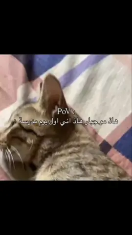 #جبار #اكسبلوررر #fypシ゚ #