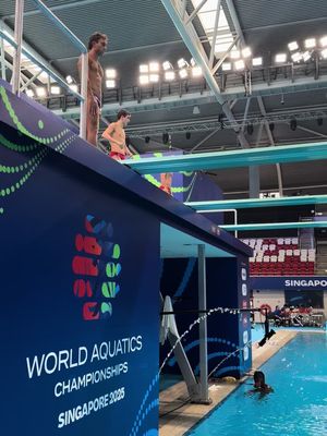 Best dive from Singapore what do you guys think? #diving #training #athlete #twist #flip 