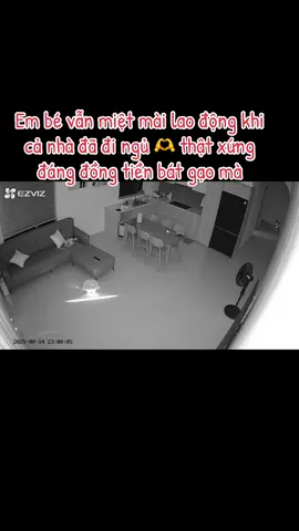 Em bé vẫn hăng say lao động, hút bụi lau nhà khi cả nhà đã đi ngủ 🫶 quá là xứng đáng đồng tiền bát gạo #robot #vaccumcleanerrobot #ecovacs  #myhouse