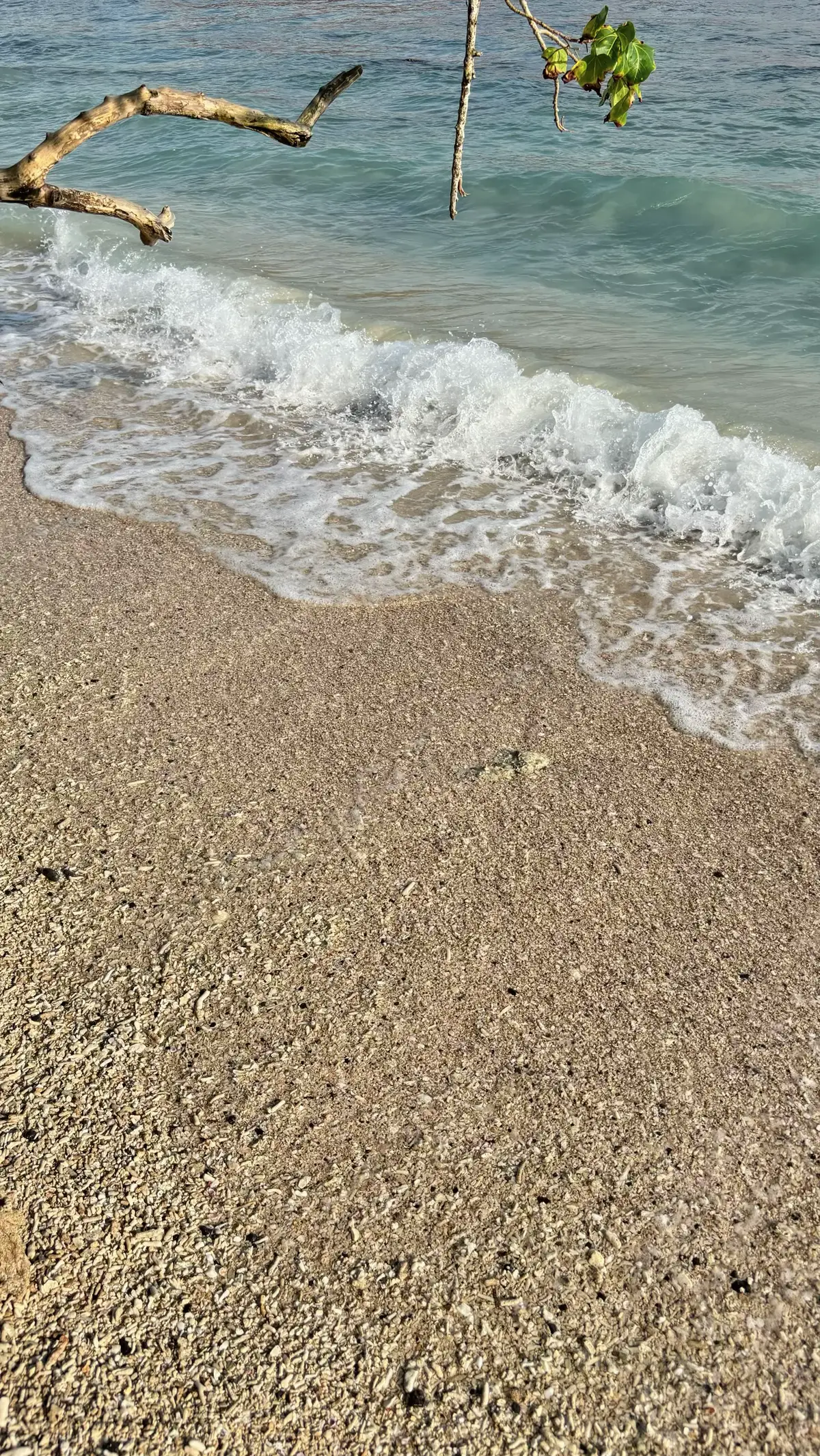 ˖°𓇼🌊⋆🐚🫧 #pantai #pasirputih #pantaipangandaran 