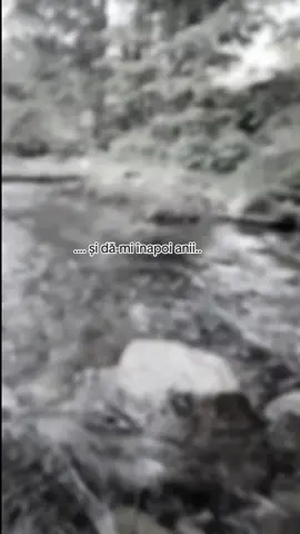 #CapCut 