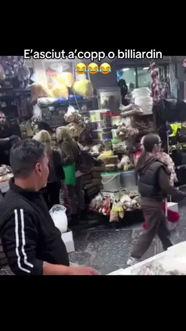#napoli#ironia#billiardino#trash#viral 
