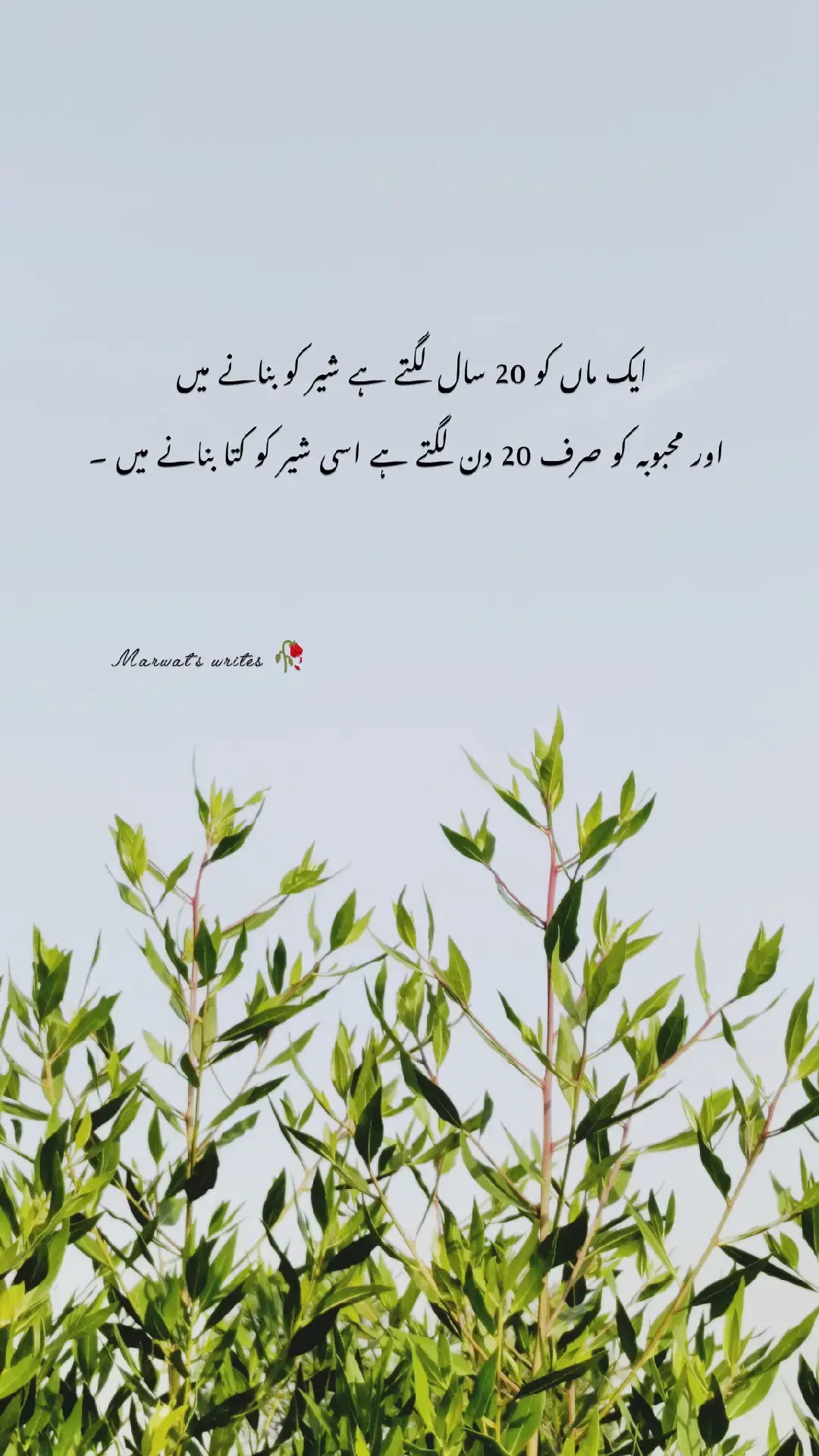 #marwat'swrites #motivationalwords #tranding #foryourpage #foryou 